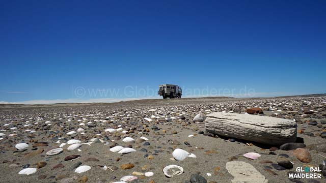 DSC01373-1280-640.jpg